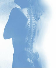 chiropractic is the adjustment of spinal subluxations